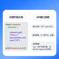 API文档示意图 - 代码片段与接口说明